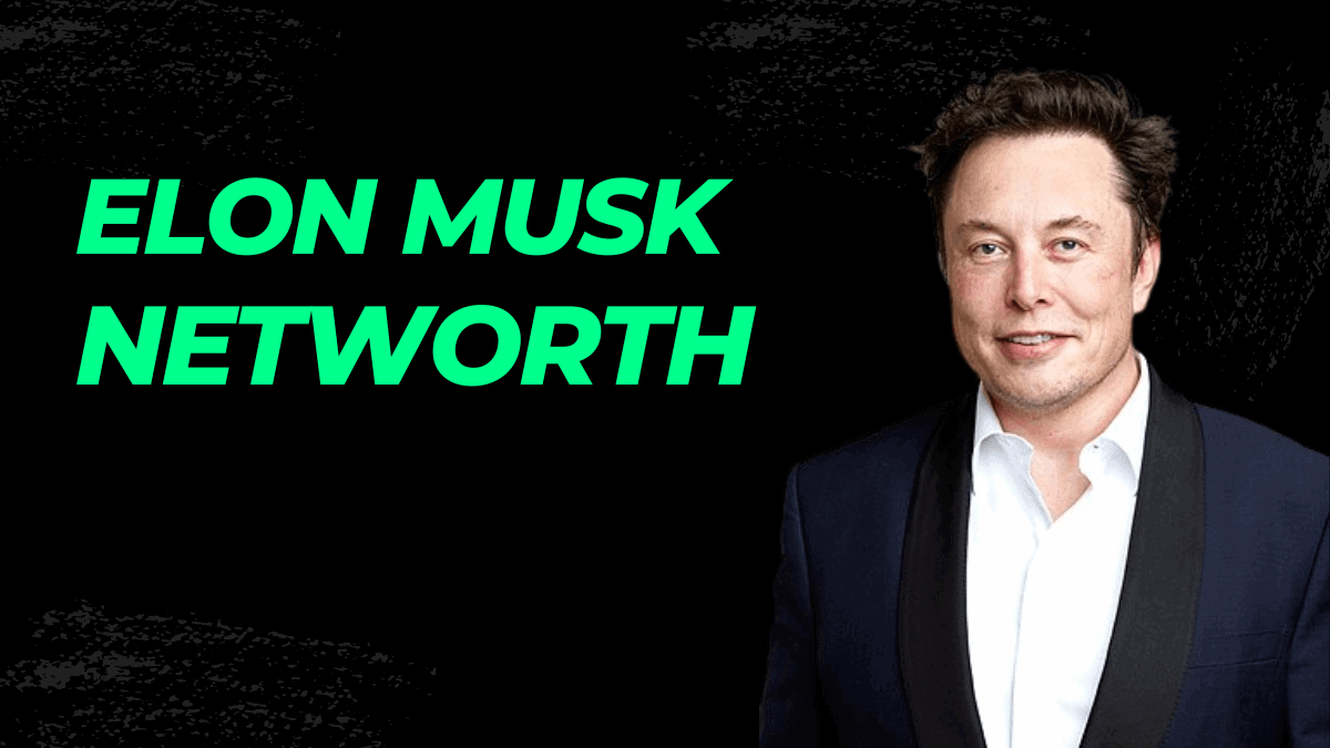 Elon Musk Net Worth Celeb Web Stories